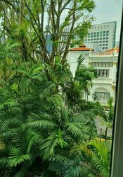 Emerald Garden (D1), Condominium #585943871
